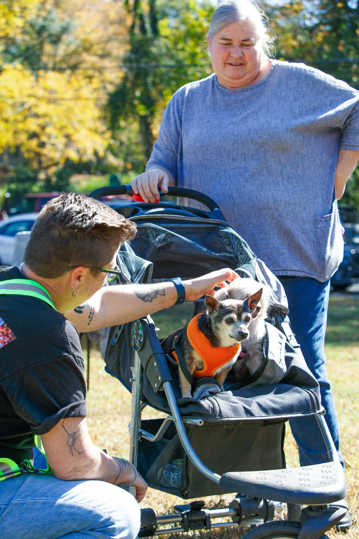 WSM Dogmore11 102322.jpg